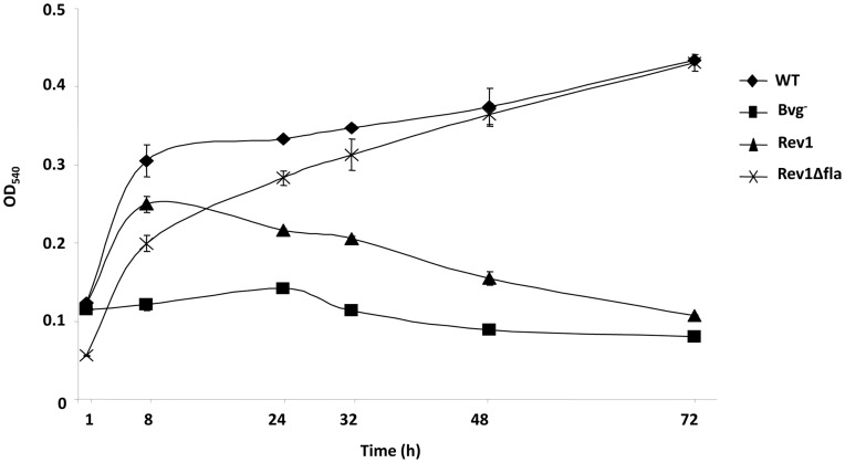 Figure 6