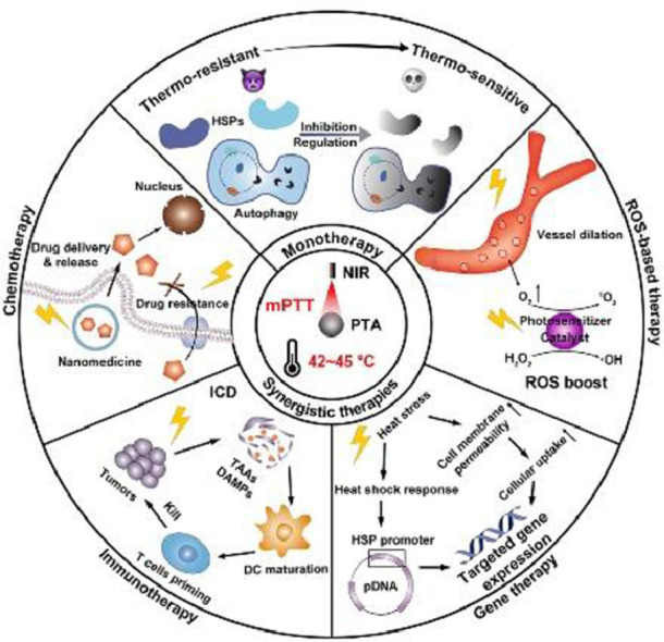 Image, graphical abstract