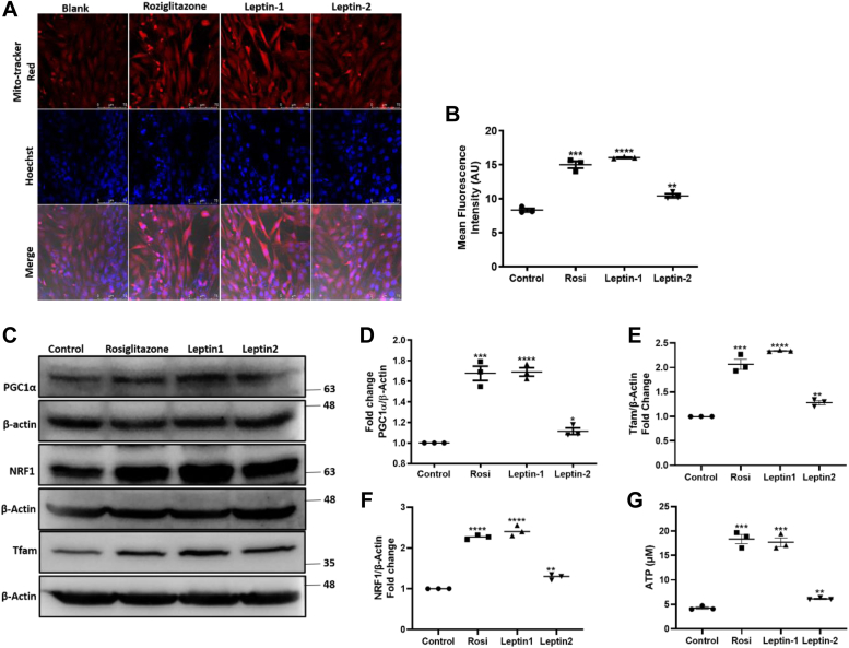 Figure 6