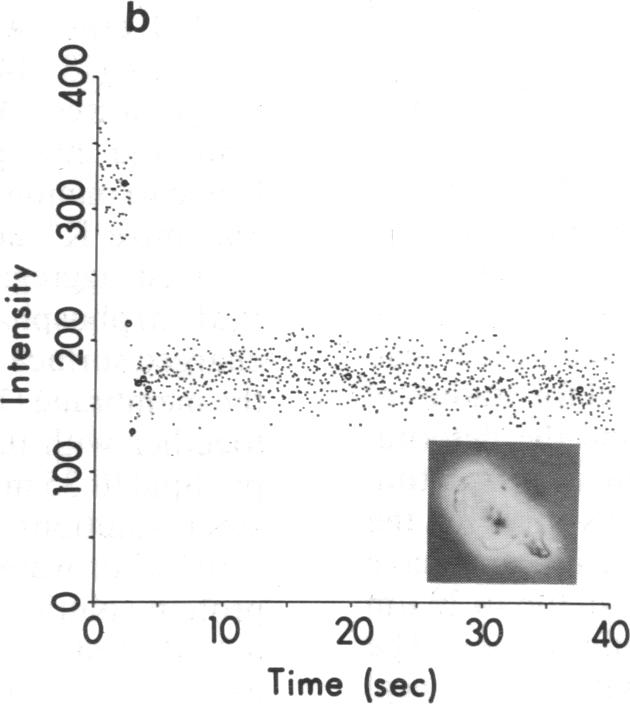 graphic file with name pnas00282-0112-a.jpg