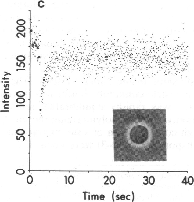 graphic file with name pnas00282-0112-d.jpg