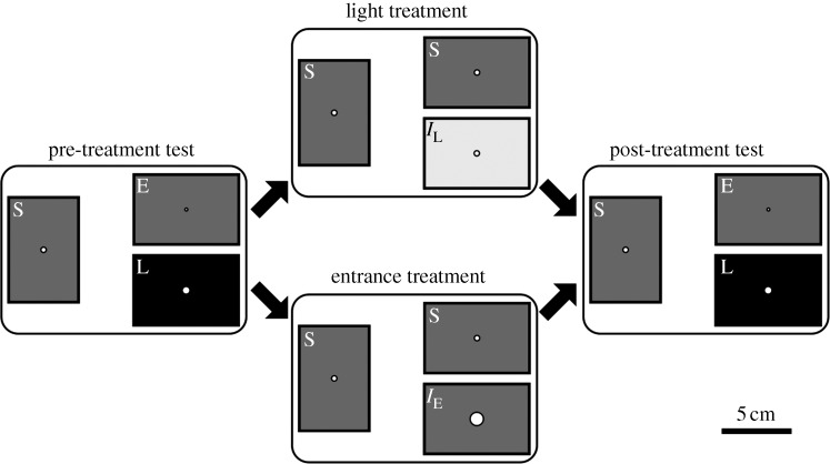 Figure 1.