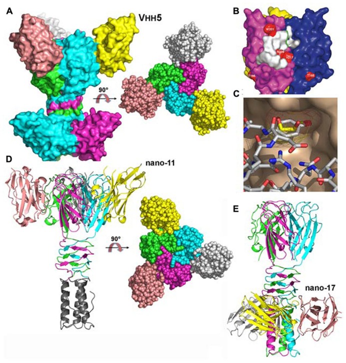 FIGURE 4