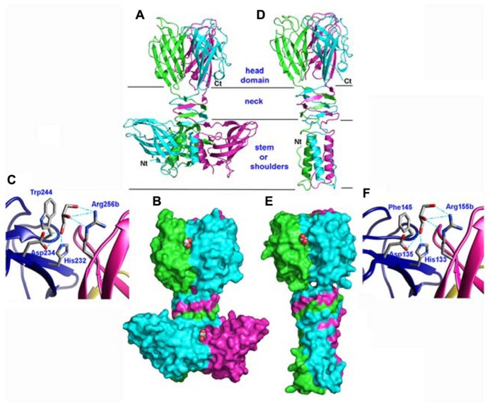 FIGURE 3