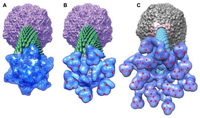 FIGURE 9