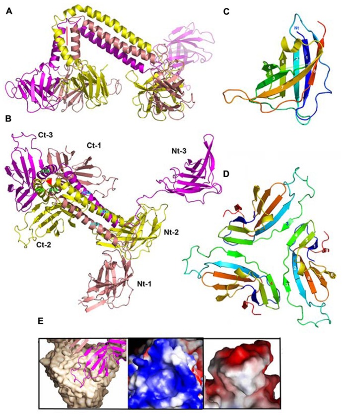 FIGURE 10