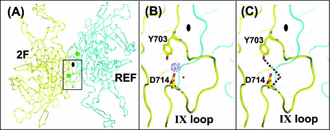 FIG. 7.