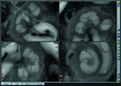 Fig. 9