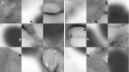Fig. 12