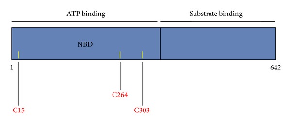 Figure 5