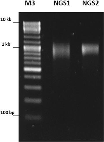 Fig. 2