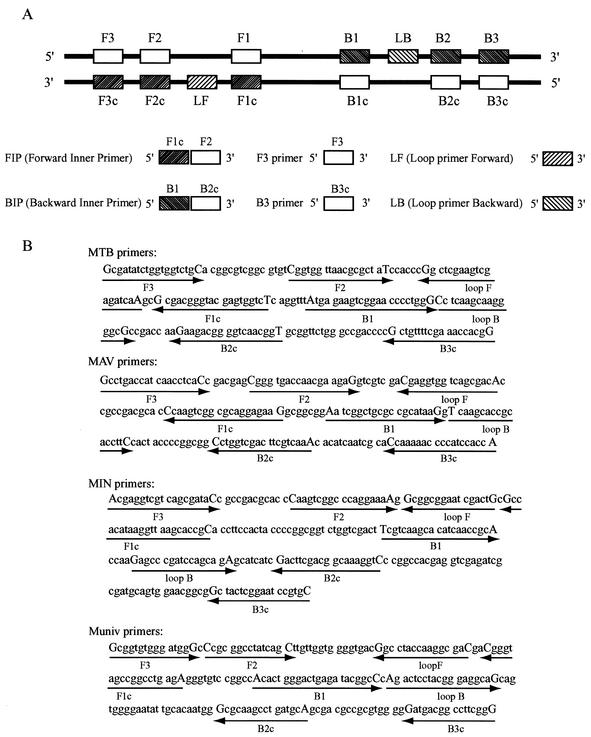 FIG. 1.