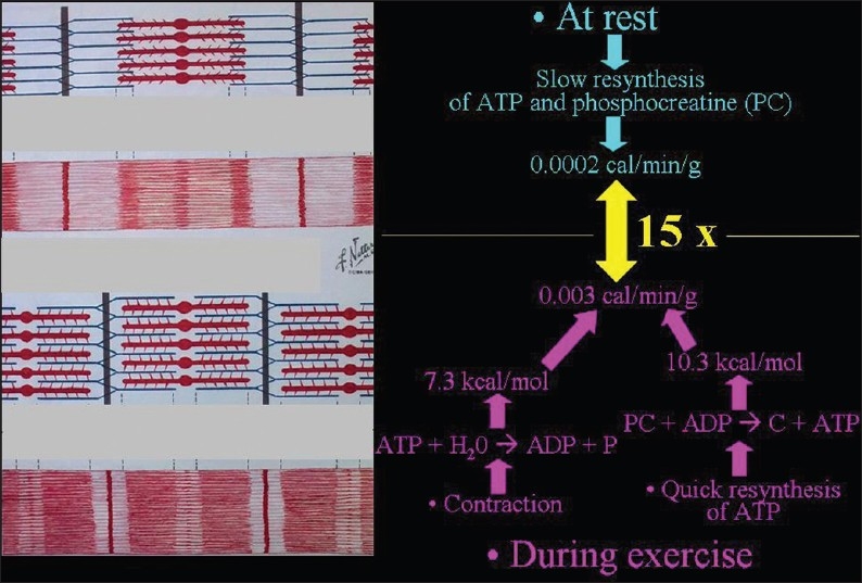 Figure 20