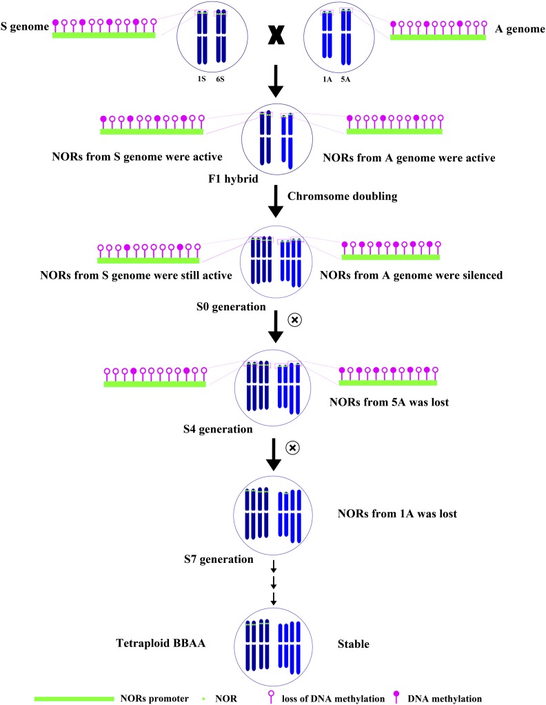 Figure 9.