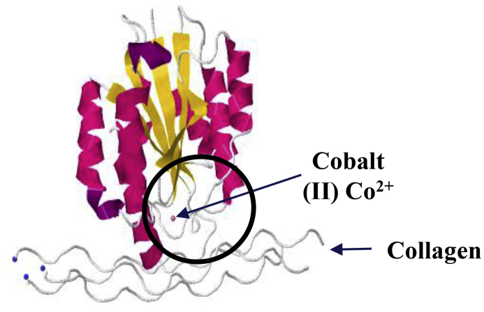 Figure 2