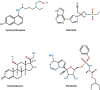 Fig. 2