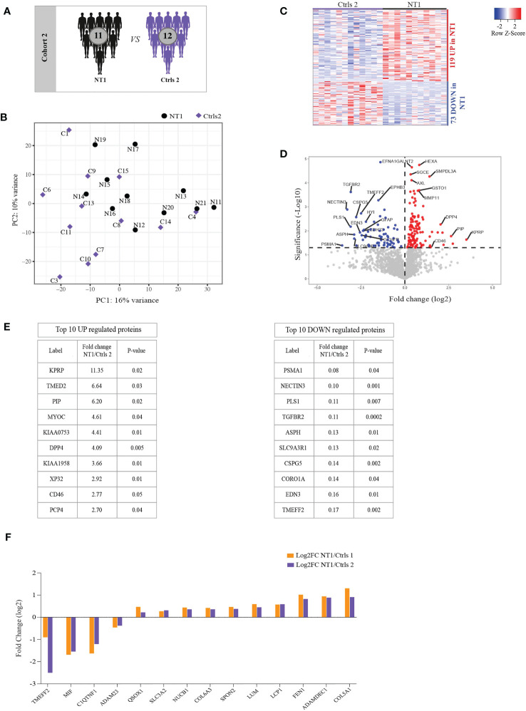 Figure 2