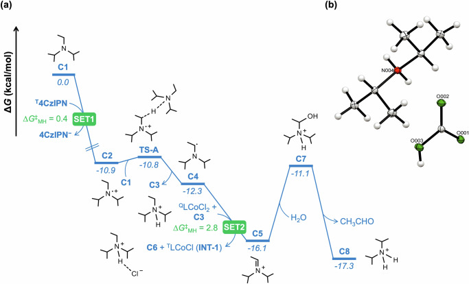 Fig. 8