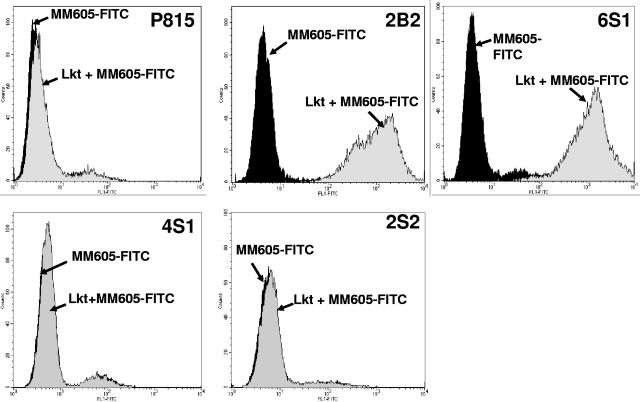 FIG. 2.