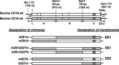 FIG. 1.