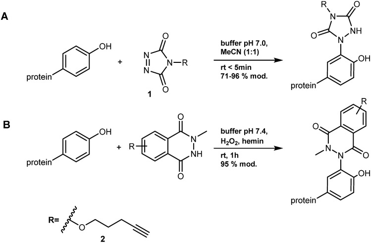 Scheme 2