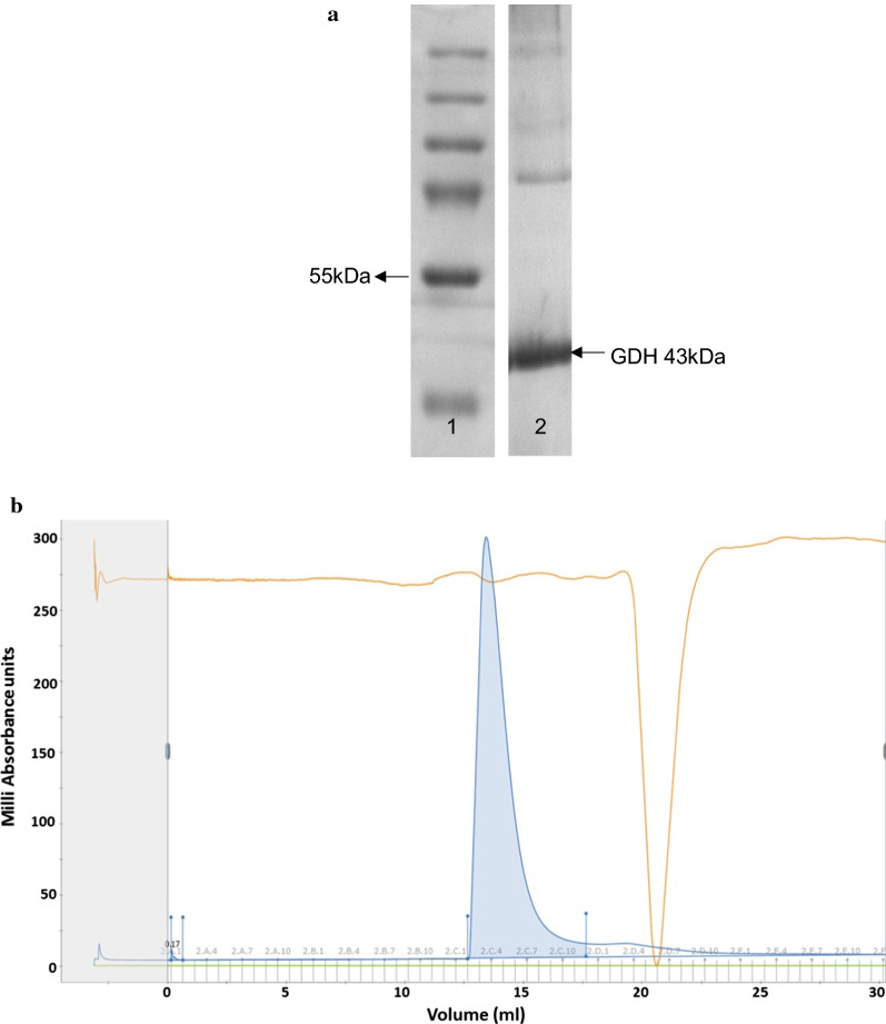 Fig. 1