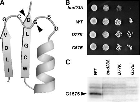 FIG. 8.