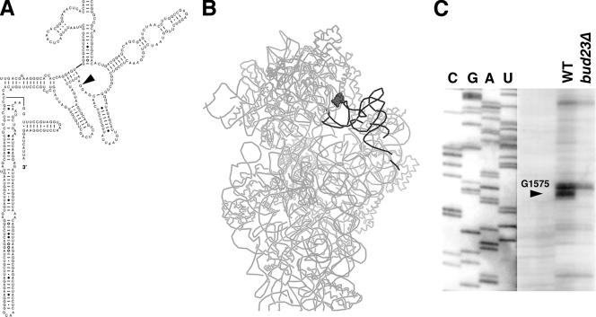 FIG. 7.