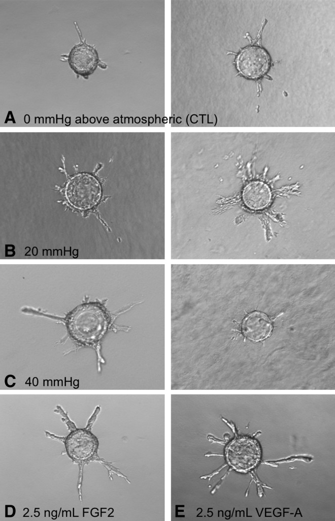 FIG. 6.