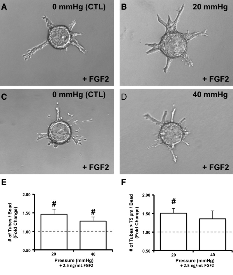 FIG. 8.