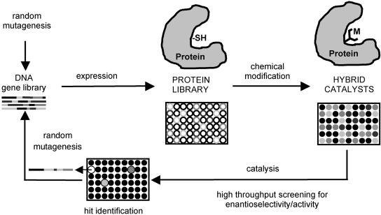 Fig. 9.