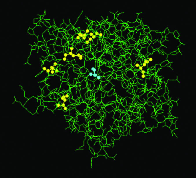 Fig. 7.