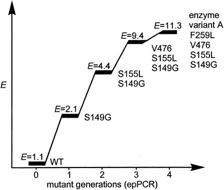 Fig. 3.