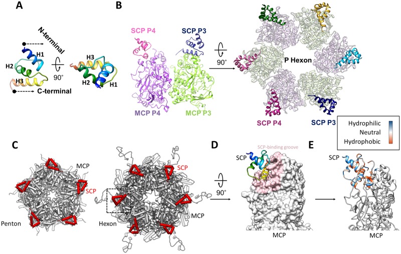 Fig 4