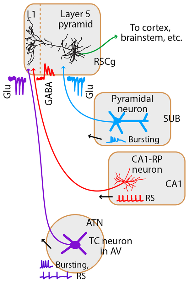 Fig. 5.