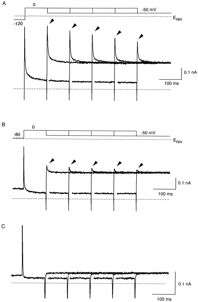 Figure 8