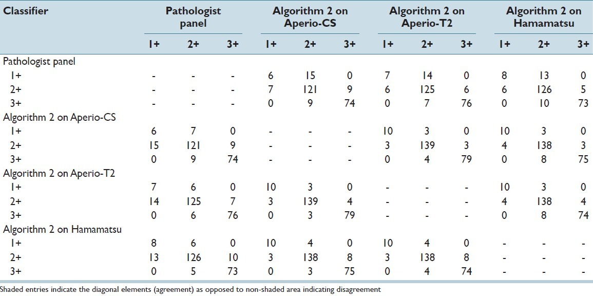 graphic file with name JPI-4-19-g010.jpg