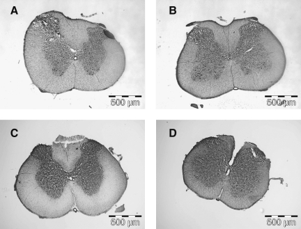 FIG. 8.