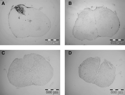 FIG. 7.