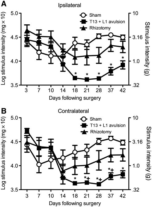 FIG. 6.