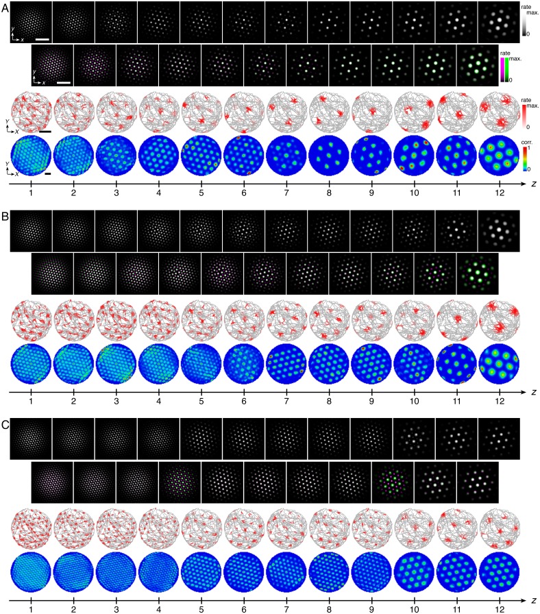 Figure 4—figure supplement 1.