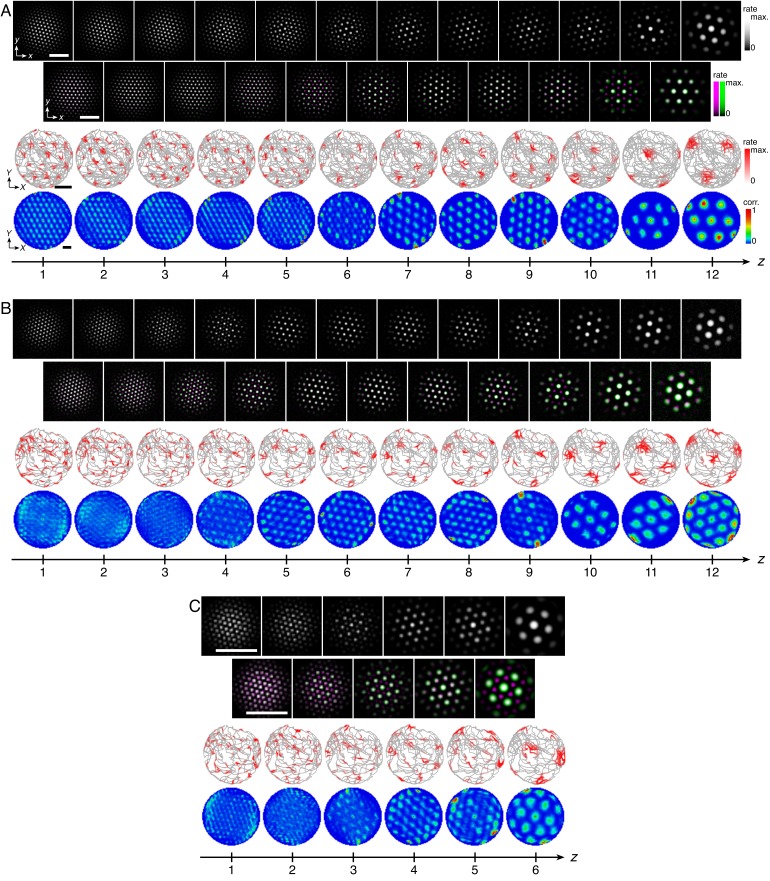 Figure 4—figure supplement 2.