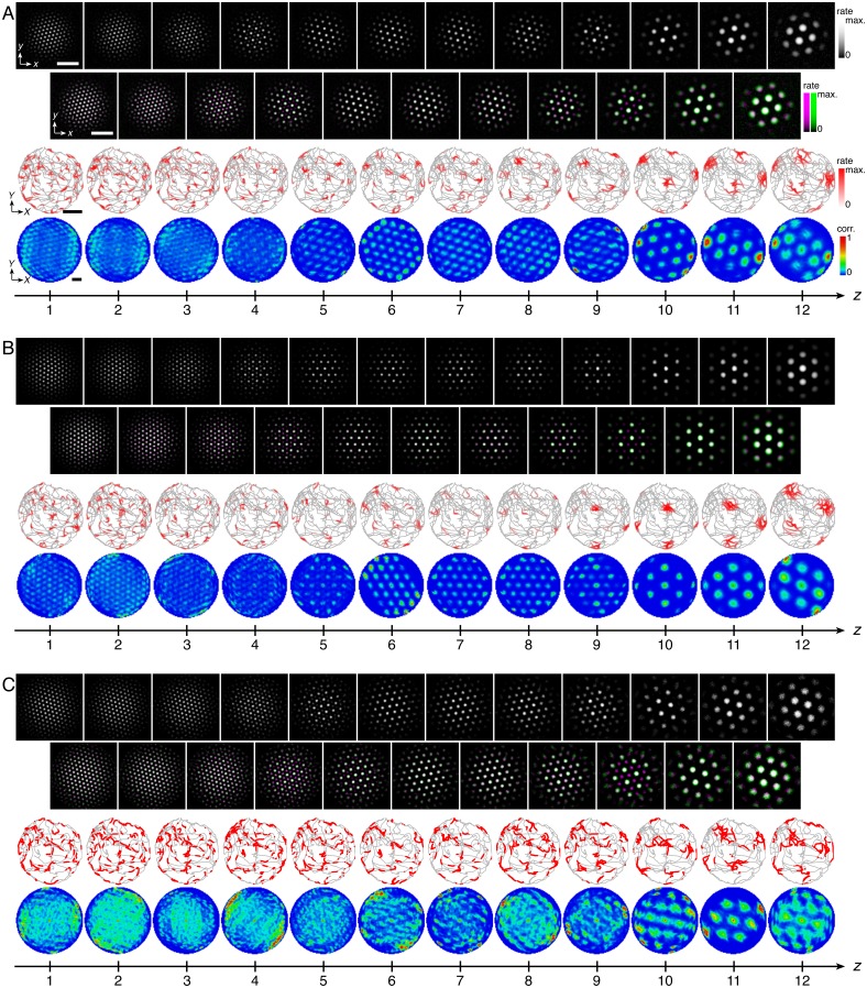 Figure 4—figure supplement 3.