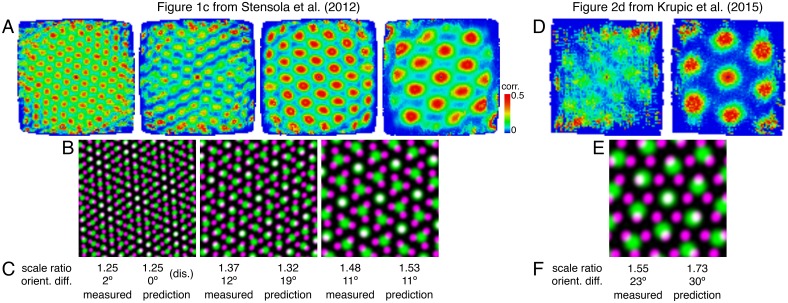 Figure 7—figure supplement 2.