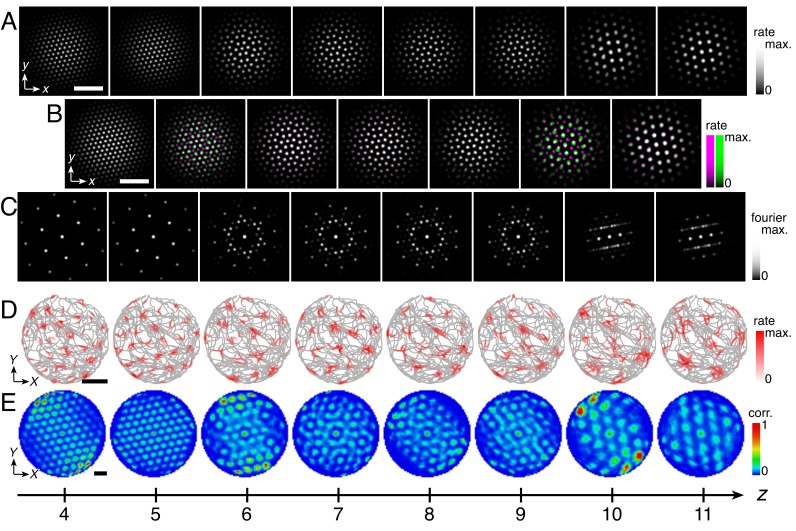 Appendix 3—figure 1.