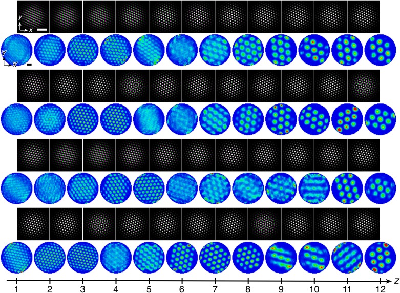 Appendix 2—figure 2.