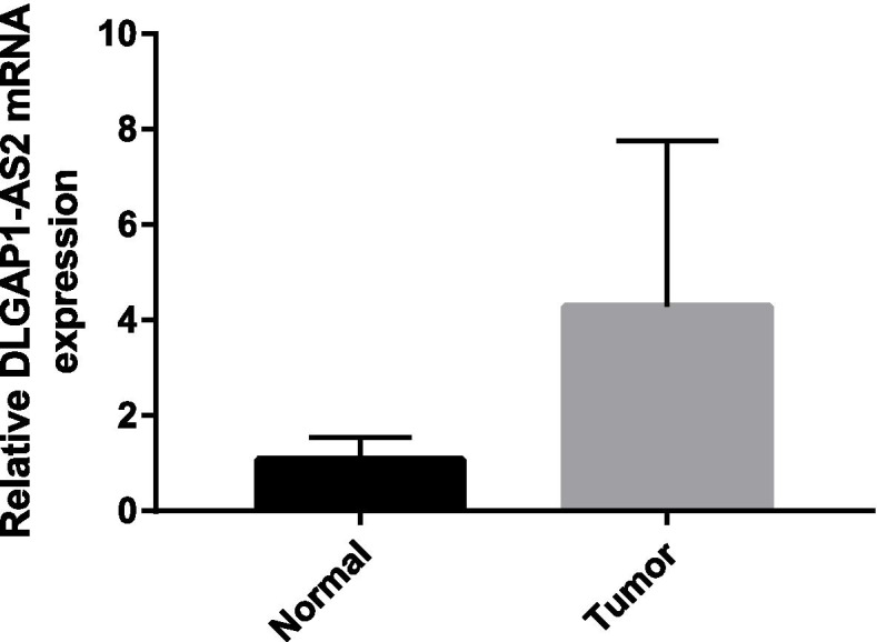 Fig. 11