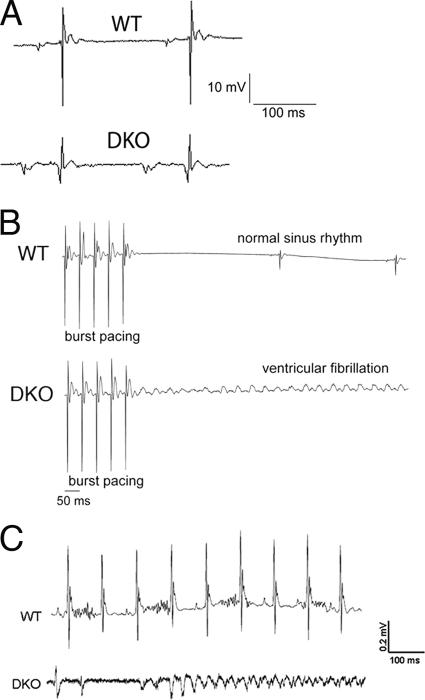 Fig 7