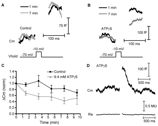 Figure 7