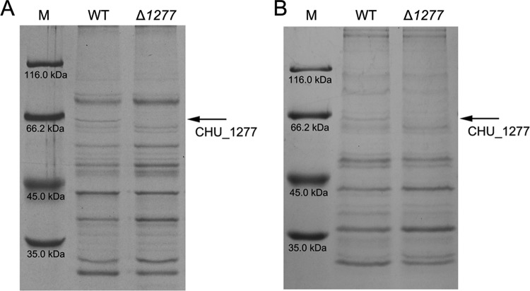 FIG 1